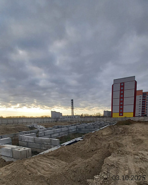 г. Новоалтайск, Улица Спортивная