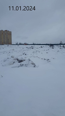 Платон Парк поз 1