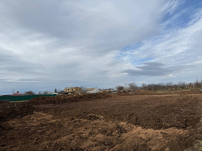 Село Новоселовка, Улица Виноградная