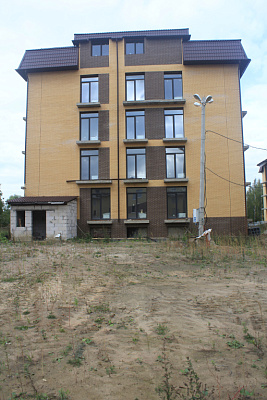 ЛО, Деревня Заневка