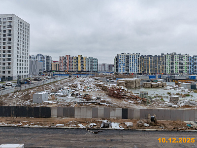 Янинский лес
