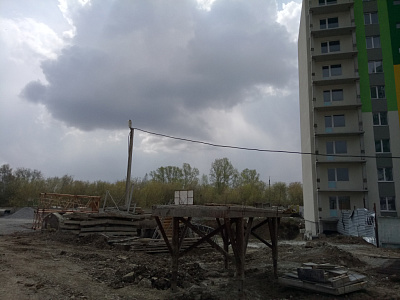 Березовая роща