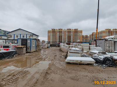 Янинский лес