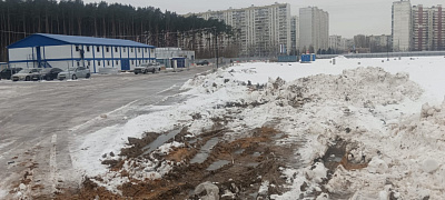 РОДИНА ПЕРЕДЕЛКИНО