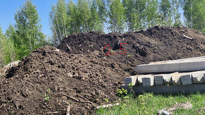 г. Бердск