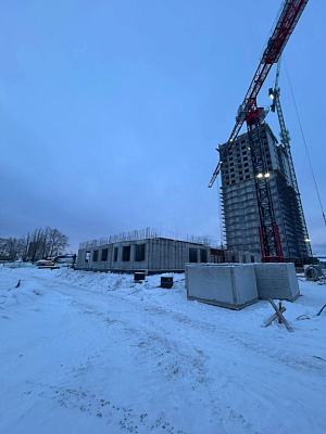 г. Петрозаводск, Улица Зайцева