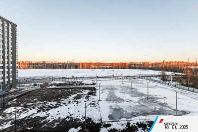 г. Санкт-Петербург, поселок Парголово, район Пригородный