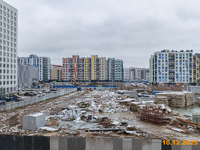 Янинский лес