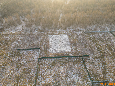 Волга парк