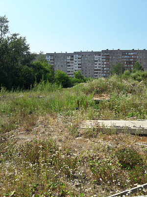 Макаринская роща