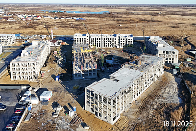 Смородина