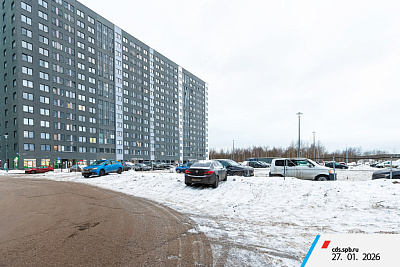 г. Санкт-Петербург, поселок Парголово, район Пригородный