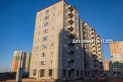 Концепт-проект