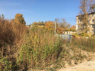 ЖК Новиков