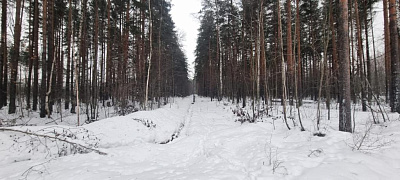 Эко Квартал НЕГА