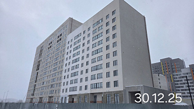 Село Засечное, ул Новая