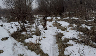 село С Новолуговое