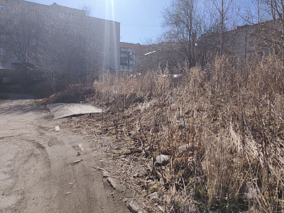 Современник