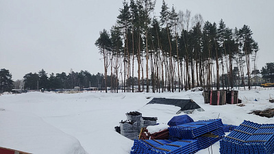Михалевич