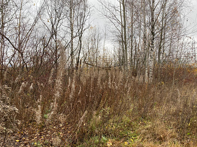 Окла