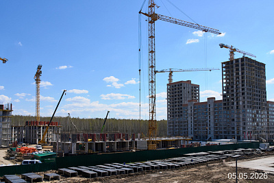 СЕЗОНЫ