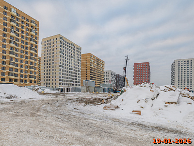 Янинский лес
