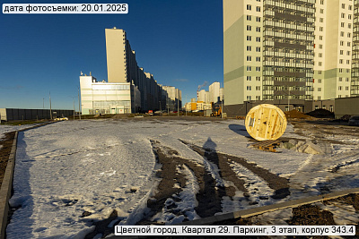 Цветной город