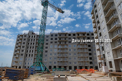 Концепт-проект