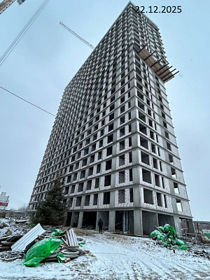 РОЩА д.2