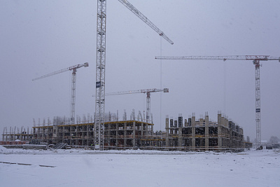 Брусника в Новоселье