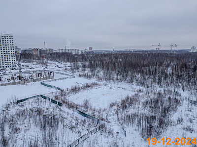 Волга парк