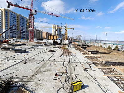 Левашевская роща