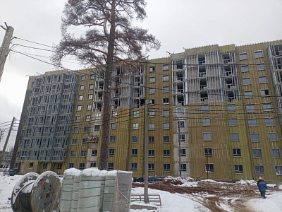 МО, Поселок городского типа Радумля, район ММС-2