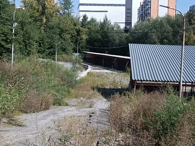 Расцветай на Дуси Ковальчук
