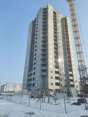 г. Калуга, Д.Чижовка