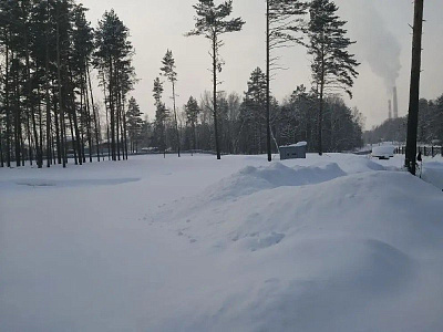 Расцветай у Академгородка