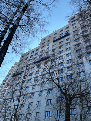 КУРКИНО15