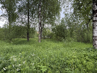 г. Вологда, Шоссе Старое