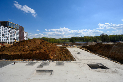 Левел Лесной