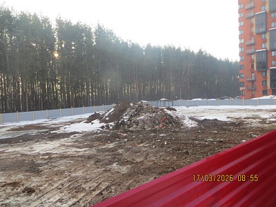 Скандинавия 8