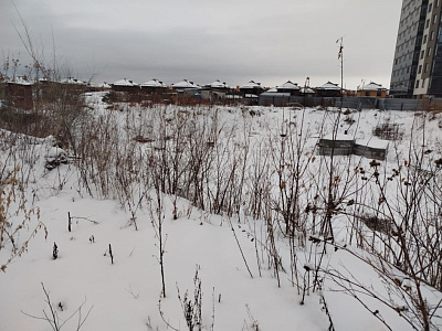 Расцветай на Зорге