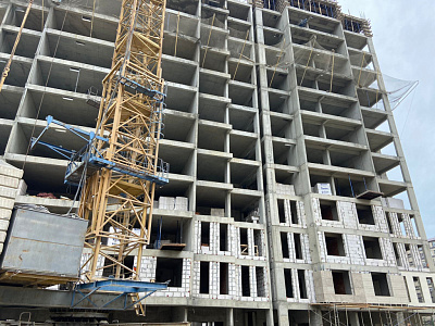 Botanica