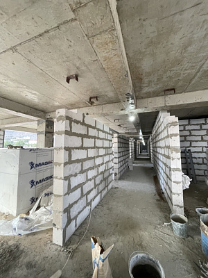 COSMOS STAY OLGINKA MOREOL'