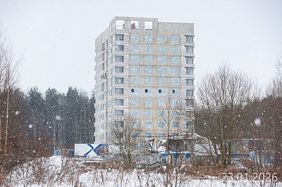 Новоселье