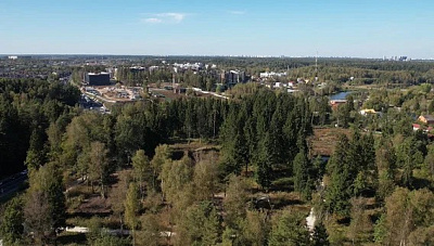 Кварталы Отрада