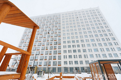Парголово