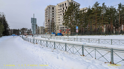 ВЕРЕН НОРТ СЕРТОЛОВО 