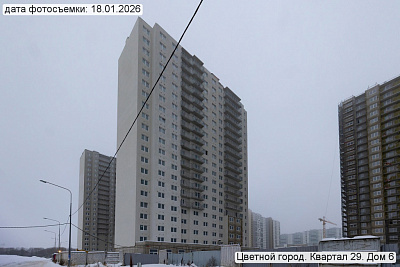 Цветной город