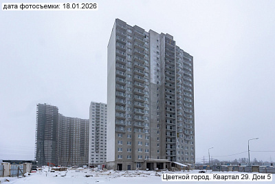 Цветной город