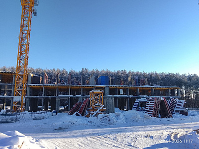 Норвежский лес